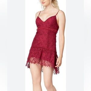 Guess crushed berry mini dress embroidery lace  L party date night cocktail